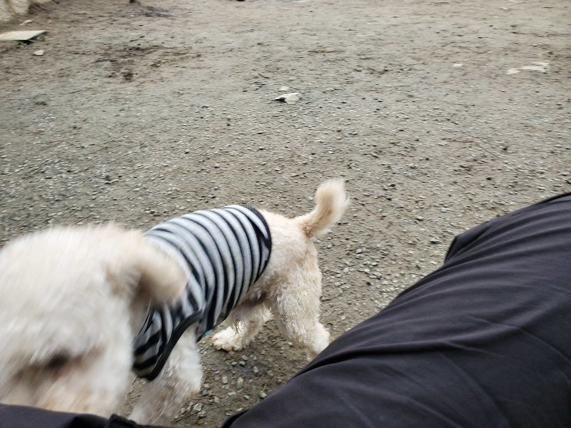 f:id:roukenhome-ann:20191222212946j:plain f:id:roukenhome-ann:20191222212946j:plain