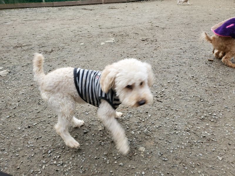 f:id:roukenhome-ann:20191222212956j:plain f:id:roukenhome-ann:20191222212956j:plain