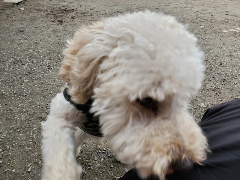 f:id:roukenhome-ann:20191222213005j:plain f:id:roukenhome-ann:20191222213005j:plain