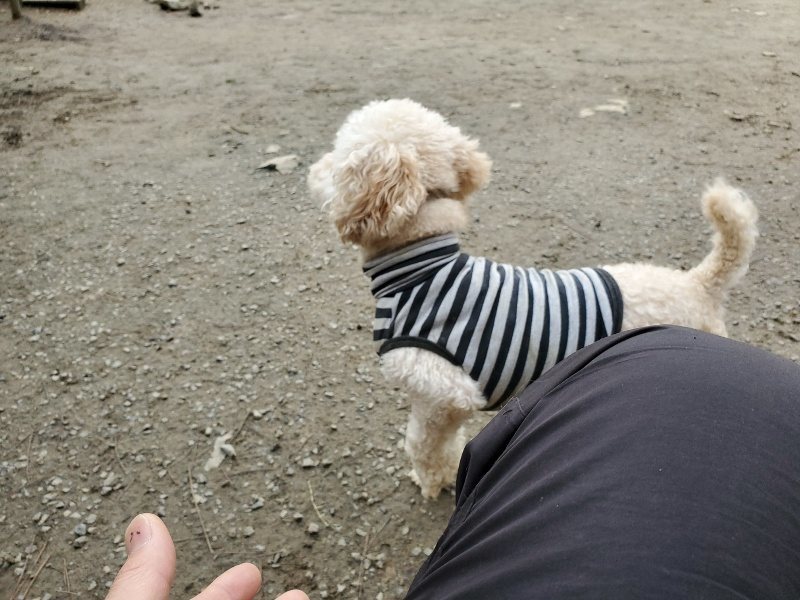 f:id:roukenhome-ann:20191222213012j:plain f:id:roukenhome-ann:20191222213012j:plain
