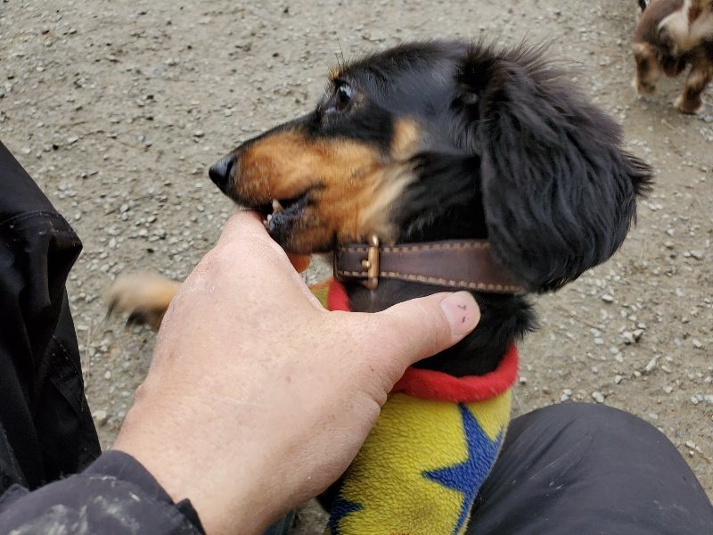 f:id:roukenhome-ann:20191222213050j:plain f:id:roukenhome-ann:20191222213050j:plain