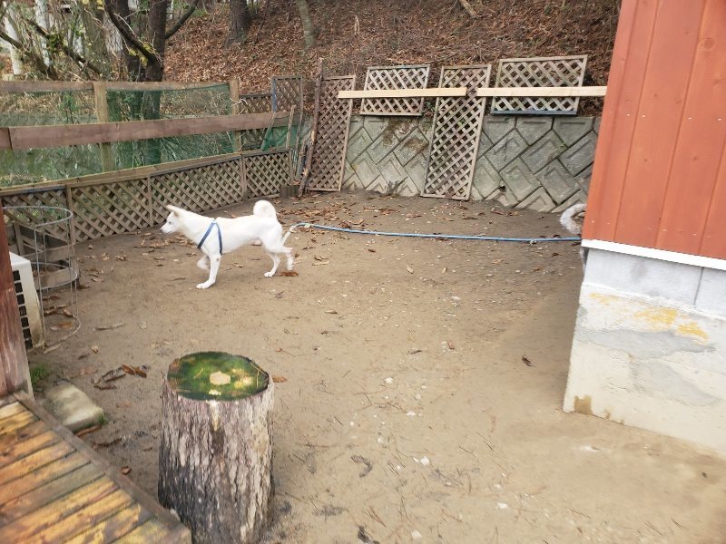 f:id:roukenhome-ann:20191222213904j:plain f:id:roukenhome-ann:20191222213904j:plain