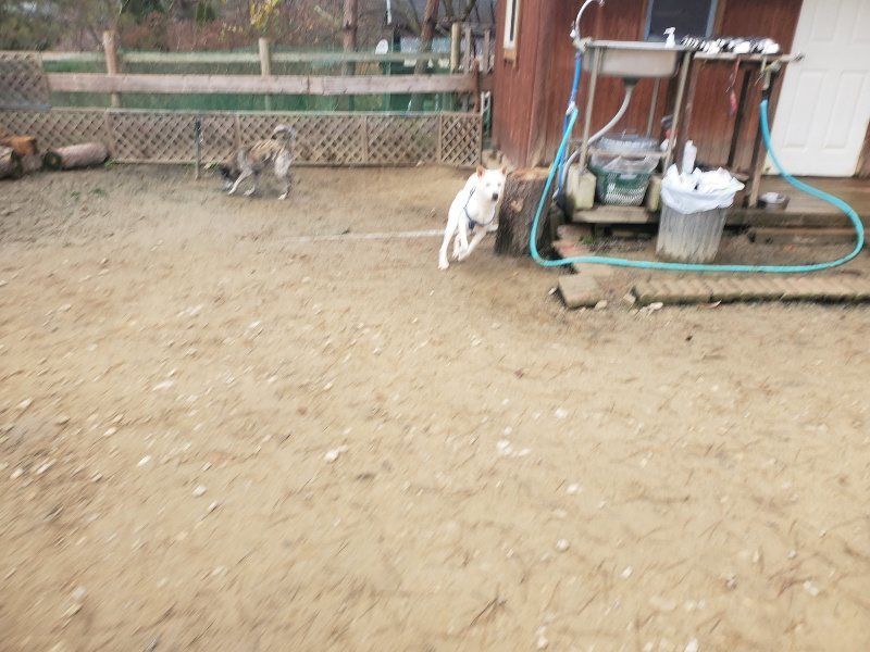 f:id:roukenhome-ann:20191222213929j:plain f:id:roukenhome-ann:20191222213929j:plain
