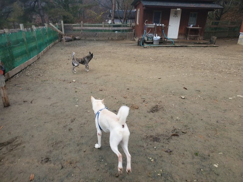 f:id:roukenhome-ann:20191222213937j:plain f:id:roukenhome-ann:20191222213937j:plain