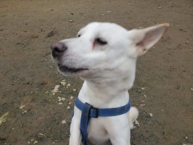 f:id:roukenhome-ann:20191222213947j:plain f:id:roukenhome-ann:20191222213947j:plain