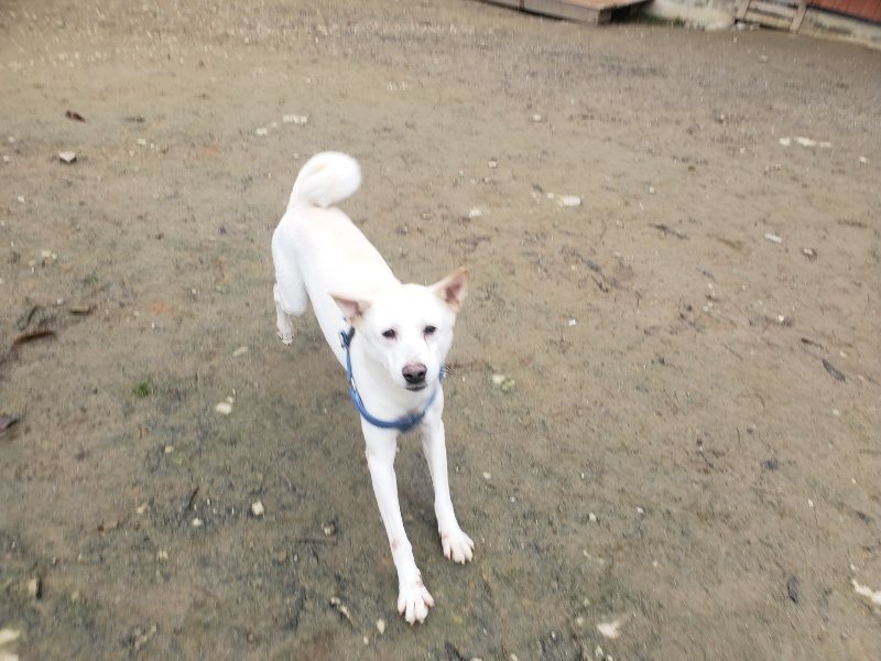 f:id:roukenhome-ann:20191222213952j:plain f:id:roukenhome-ann:20191222213952j:plain