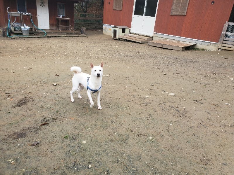 f:id:roukenhome-ann:20191222214001j:plain f:id:roukenhome-ann:20191222214001j:plain