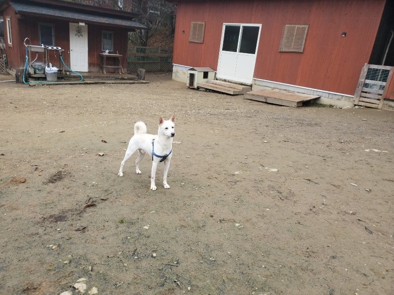 f:id:roukenhome-ann:20191222214017j:plain f:id:roukenhome-ann:20191222214017j:plain