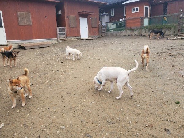f:id:roukenhome-ann:20191222214026j:plain f:id:roukenhome-ann:20191222214026j:plain