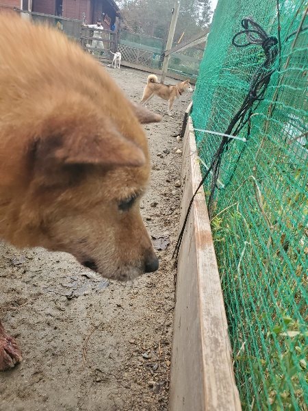 f:id:roukenhome-ann:20191222214120j:plain f:id:roukenhome-ann:20191222214120j:plain