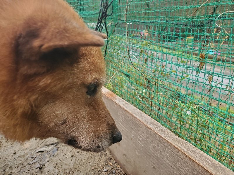 f:id:roukenhome-ann:20191222214126j:plain f:id:roukenhome-ann:20191222214126j:plain