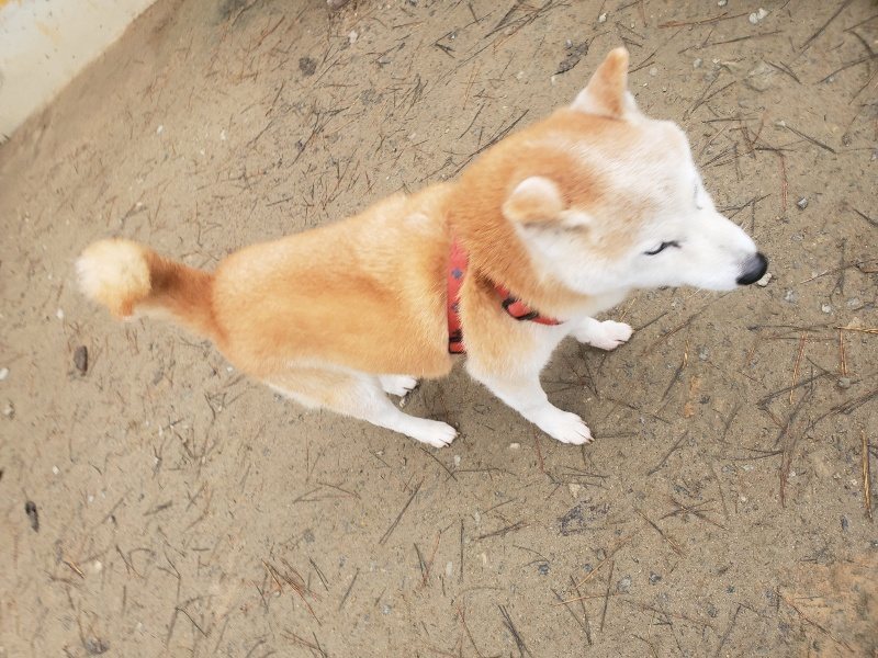 f:id:roukenhome-ann:20191222214250j:plain f:id:roukenhome-ann:20191222214250j:plain