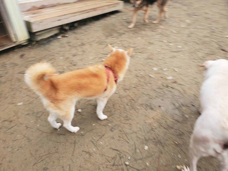 f:id:roukenhome-ann:20191222214258j:plain f:id:roukenhome-ann:20191222214258j:plain