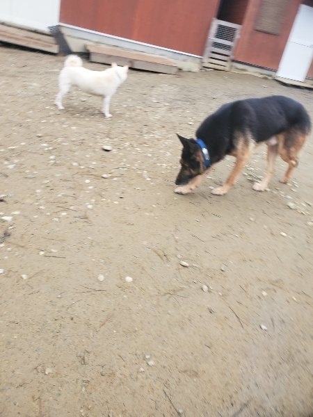 f:id:roukenhome-ann:20191222214615j:plain f:id:roukenhome-ann:20191222214615j:plain
