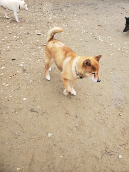 f:id:roukenhome-ann:20191222214620j:plain f:id:roukenhome-ann:20191222214620j:plain