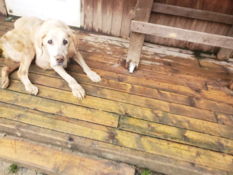 f:id:roukenhome-ann:20191222214645j:plain f:id:roukenhome-ann:20191222214645j:plain