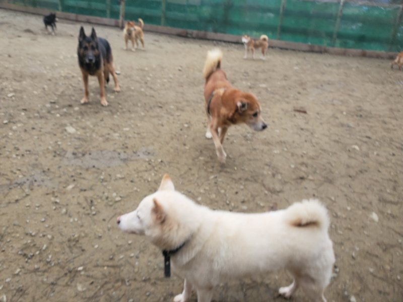 f:id:roukenhome-ann:20191222214700j:plain f:id:roukenhome-ann:20191222214700j:plain