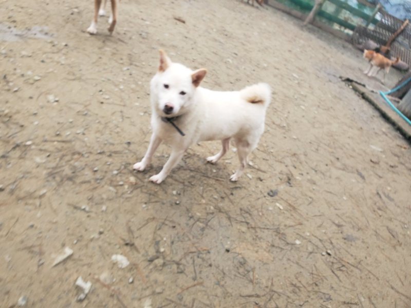 f:id:roukenhome-ann:20191222214717j:plain f:id:roukenhome-ann:20191222214717j:plain