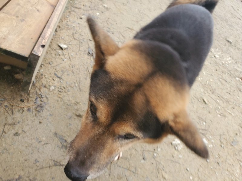 f:id:roukenhome-ann:20191222214723j:plain f:id:roukenhome-ann:20191222214723j:plain