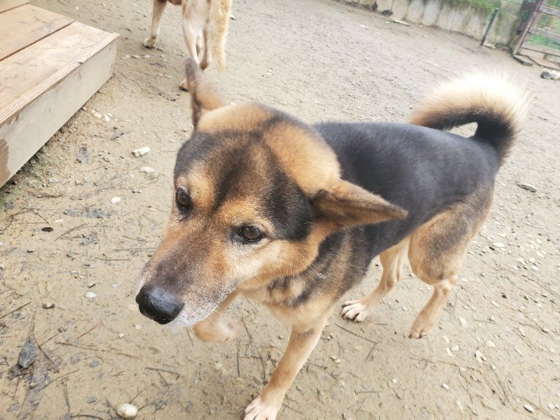 f:id:roukenhome-ann:20191222214745j:plain f:id:roukenhome-ann:20191222214745j:plain