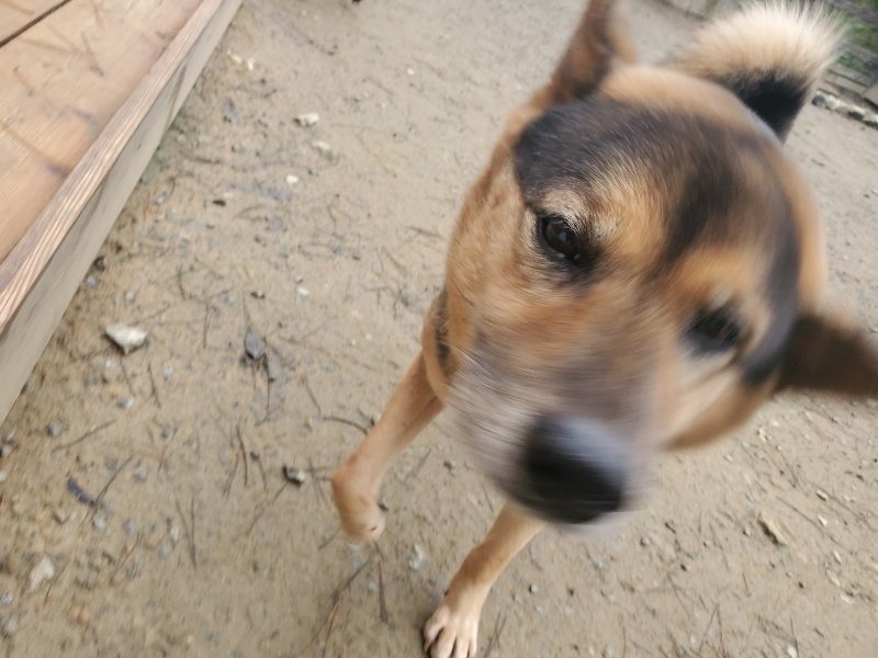 f:id:roukenhome-ann:20191222214751j:plain f:id:roukenhome-ann:20191222214751j:plain