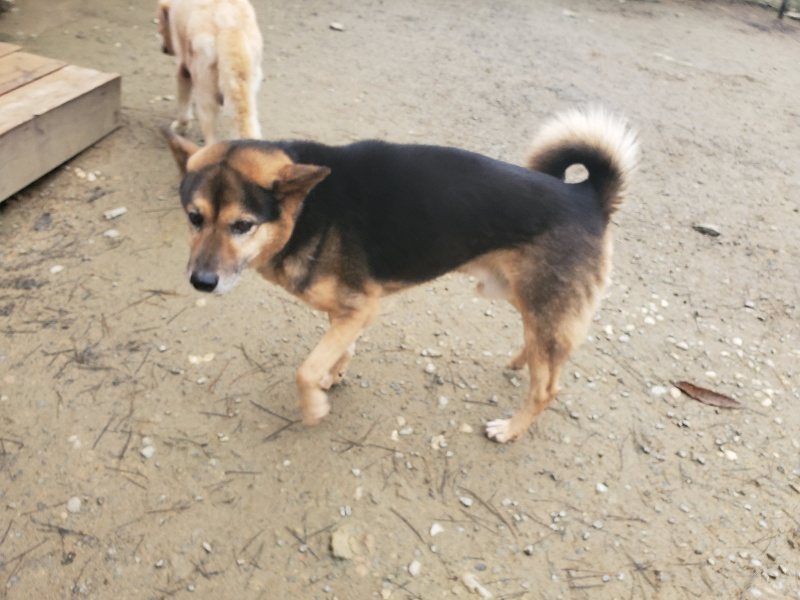 f:id:roukenhome-ann:20191222214759j:plain f:id:roukenhome-ann:20191222214759j:plain