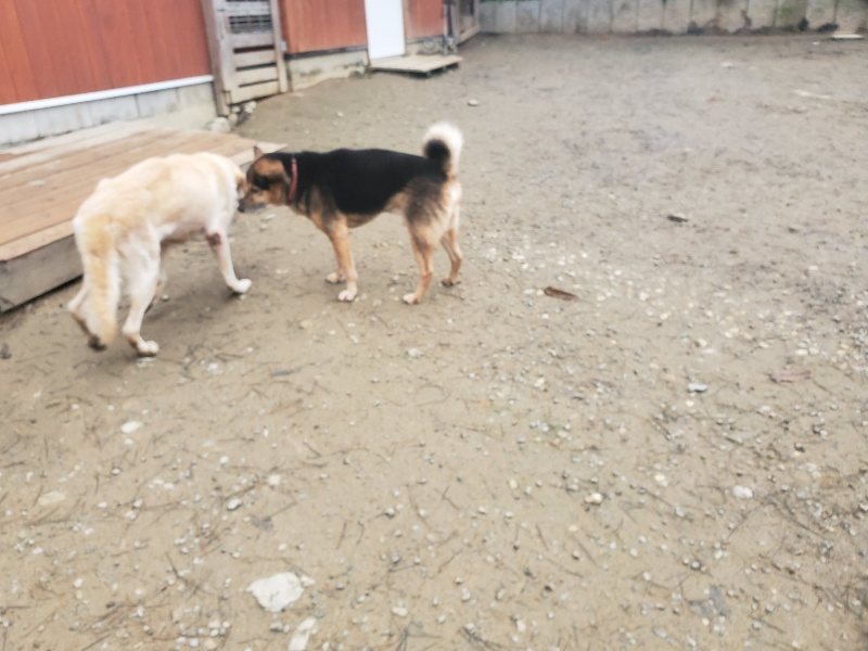f:id:roukenhome-ann:20191222214814j:plain f:id:roukenhome-ann:20191222214814j:plain
