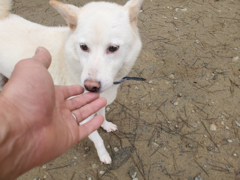 f:id:roukenhome-ann:20191222214840j:plain f:id:roukenhome-ann:20191222214840j:plain