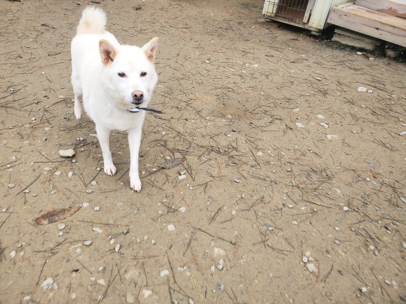 f:id:roukenhome-ann:20191222214857j:plain f:id:roukenhome-ann:20191222214857j:plain