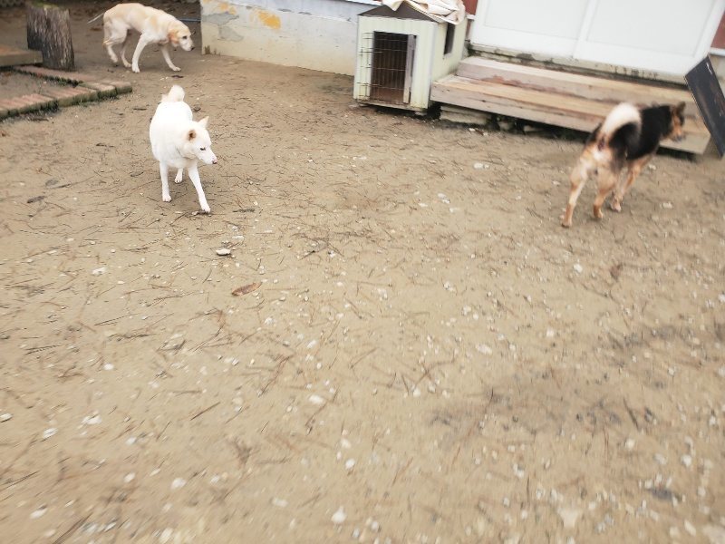 f:id:roukenhome-ann:20191222214939j:plain f:id:roukenhome-ann:20191222214939j:plain