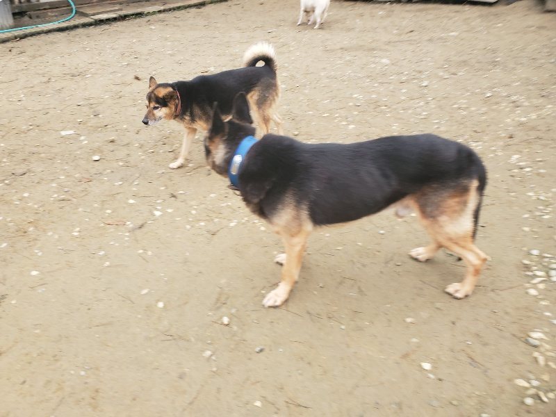 f:id:roukenhome-ann:20191222215021j:plain f:id:roukenhome-ann:20191222215021j:plain