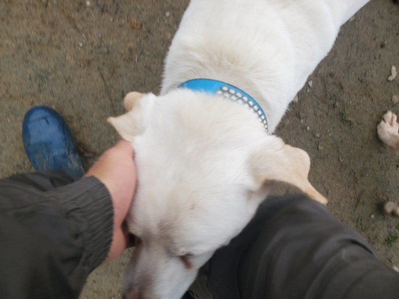 f:id:roukenhome-ann:20191222215027j:plain f:id:roukenhome-ann:20191222215027j:plain