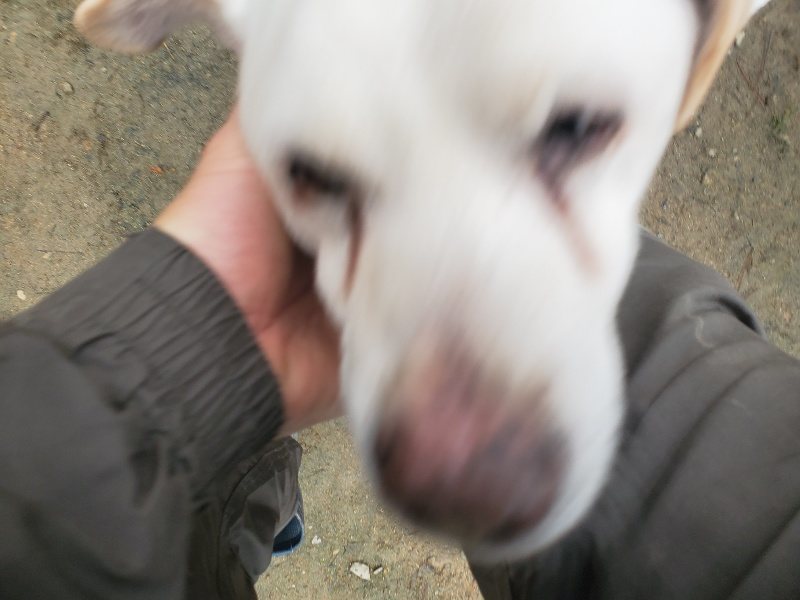 f:id:roukenhome-ann:20191222215034j:plain f:id:roukenhome-ann:20191222215034j:plain