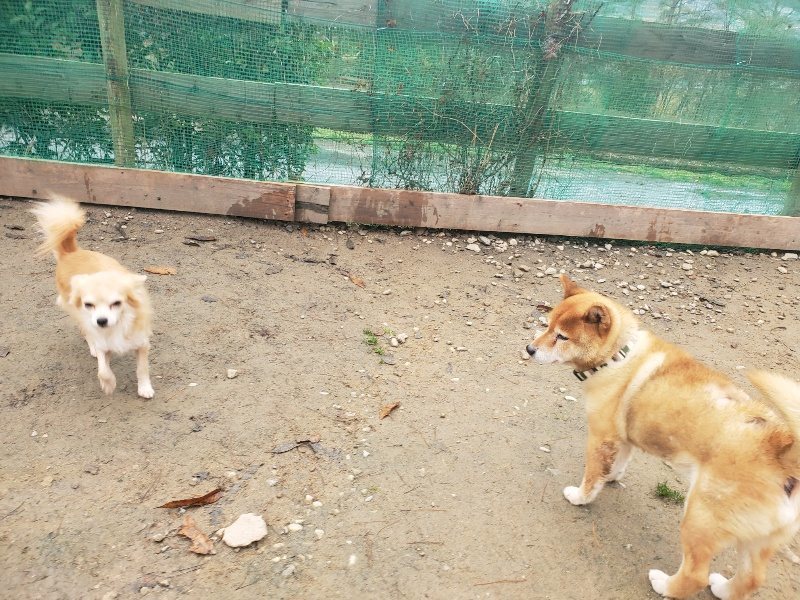 f:id:roukenhome-ann:20191222215109j:plain f:id:roukenhome-ann:20191222215109j:plain