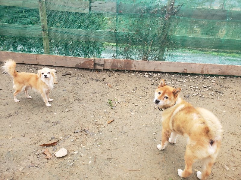 f:id:roukenhome-ann:20191222215132j:plain f:id:roukenhome-ann:20191222215132j:plain