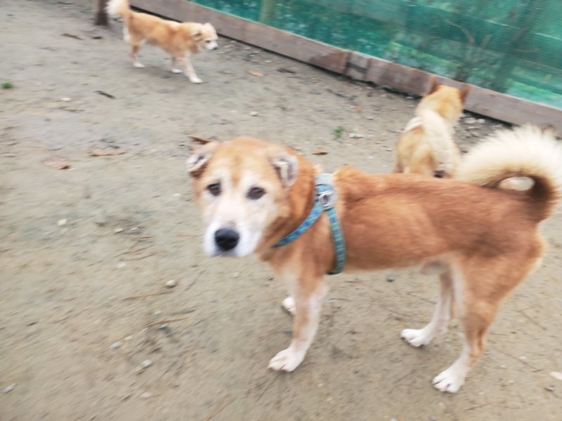 f:id:roukenhome-ann:20191222215139j:plain f:id:roukenhome-ann:20191222215139j:plain