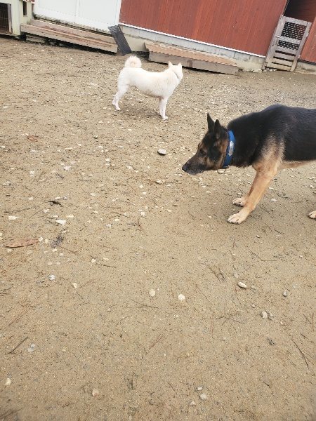 f:id:roukenhome-ann:20191222215230j:plain f:id:roukenhome-ann:20191222215230j:plain