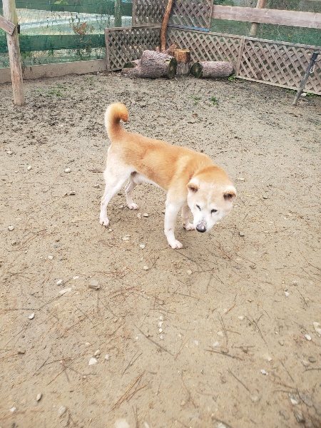 f:id:roukenhome-ann:20191222215829j:plain