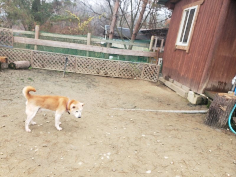 f:id:roukenhome-ann:20191222215843j:plain