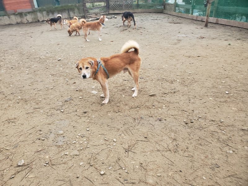 f:id:roukenhome-ann:20191222220021j:plain