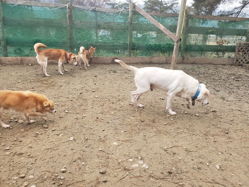 f:id:roukenhome-ann:20191222220134j:plain