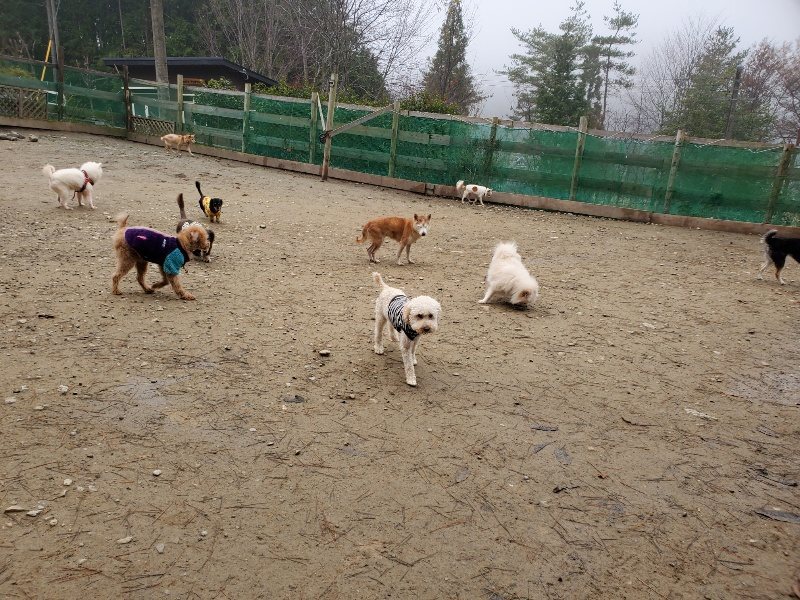 f:id:roukenhome-ann:20191223055314j:plain f:id:roukenhome-ann:20191223055314j:plain