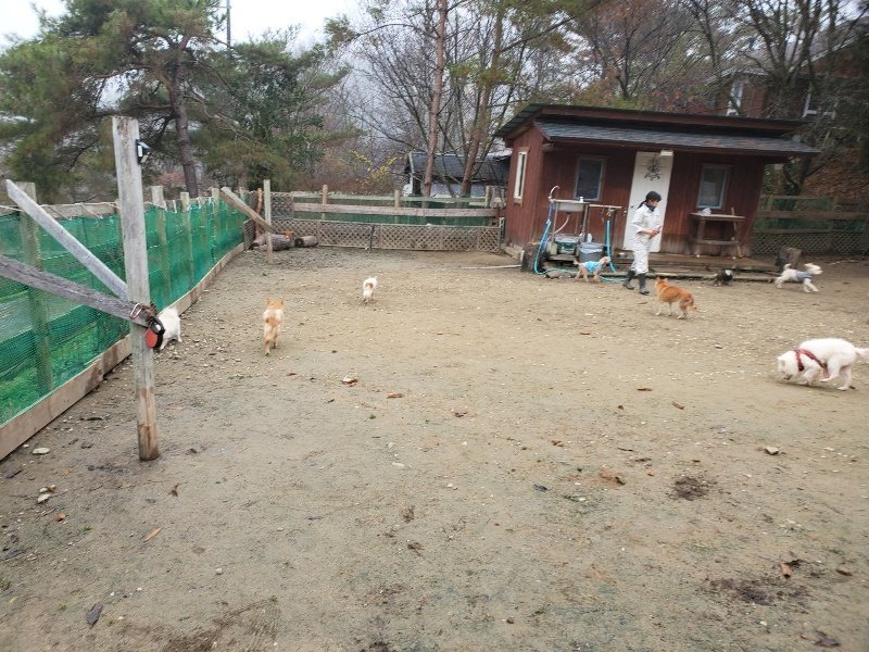 f:id:roukenhome-ann:20191223055328j:plain f:id:roukenhome-ann:20191223055328j:plain
