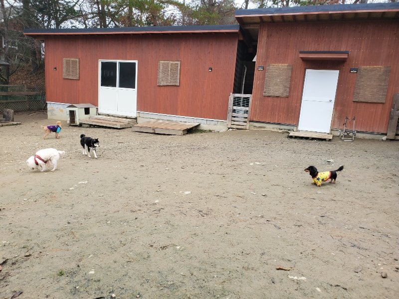 f:id:roukenhome-ann:20191223055337j:plain f:id:roukenhome-ann:20191223055337j:plain