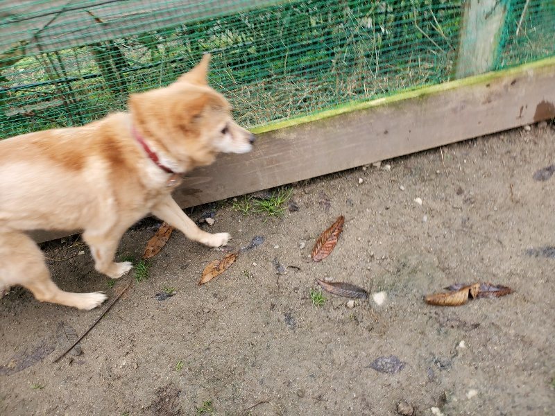 f:id:roukenhome-ann:20191223055345j:plain f:id:roukenhome-ann:20191223055345j:plain