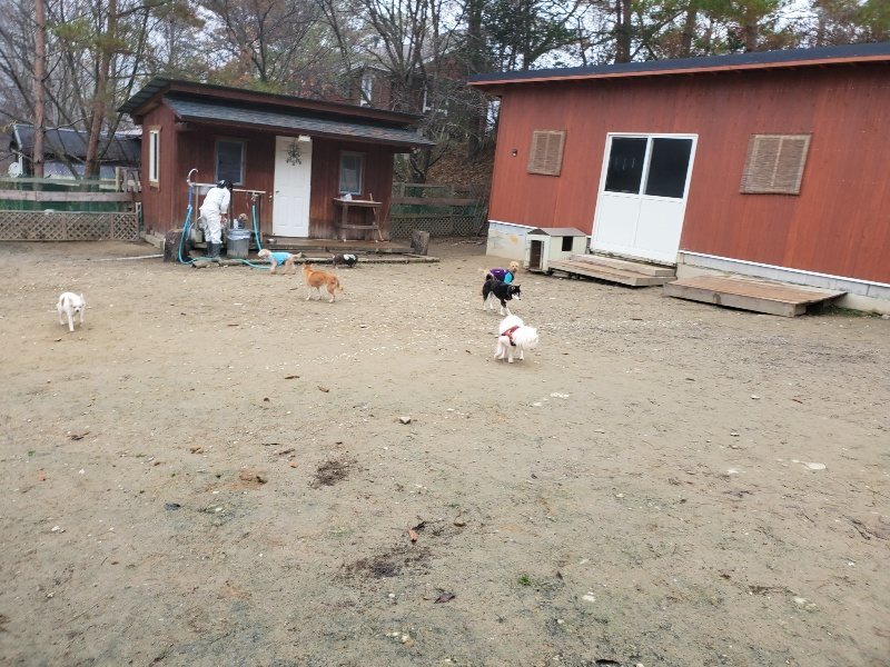 f:id:roukenhome-ann:20191223055354j:plain f:id:roukenhome-ann:20191223055354j:plain