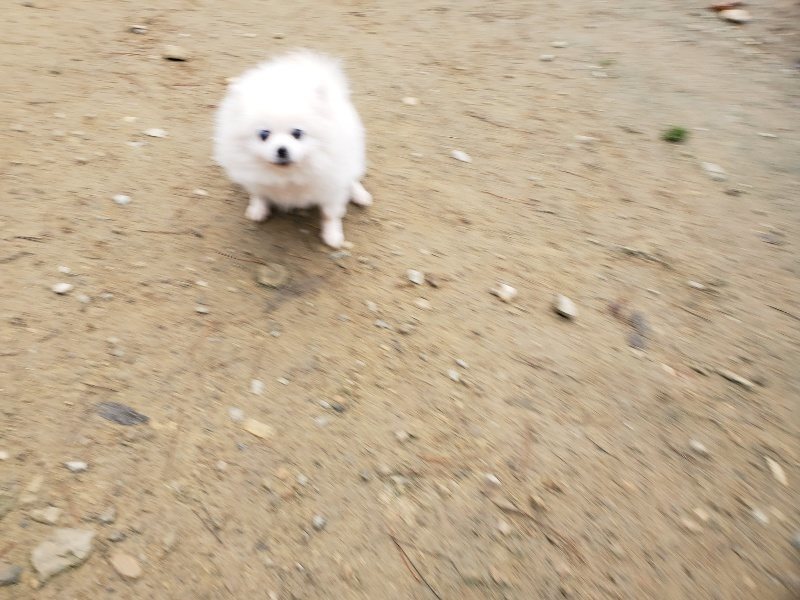 f:id:roukenhome-ann:20191223055441j:plain f:id:roukenhome-ann:20191223055441j:plain