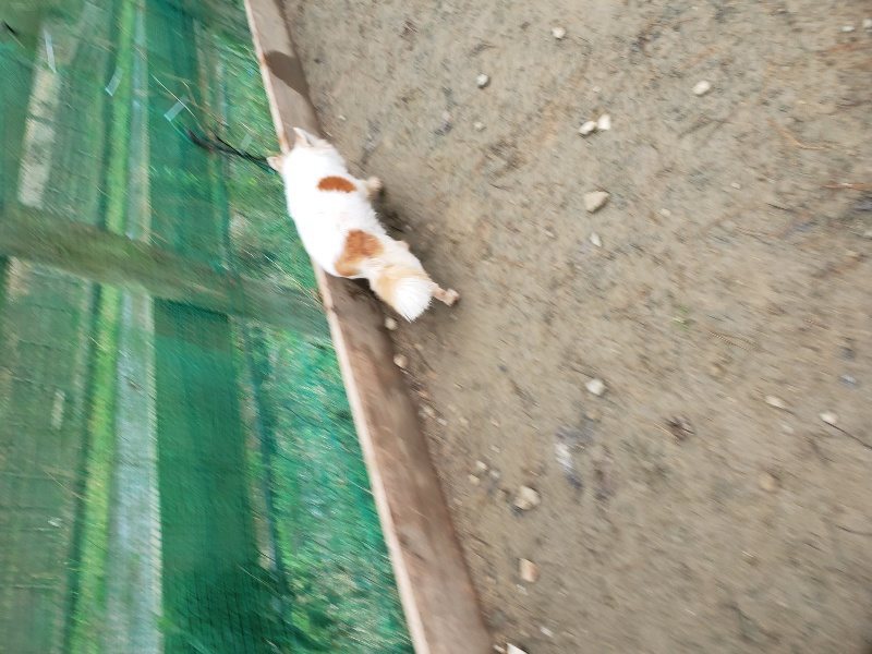 f:id:roukenhome-ann:20191223055455j:plain f:id:roukenhome-ann:20191223055455j:plain