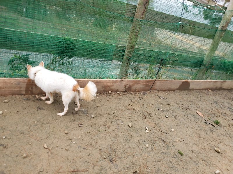 f:id:roukenhome-ann:20191223055525j:plain f:id:roukenhome-ann:20191223055525j:plain