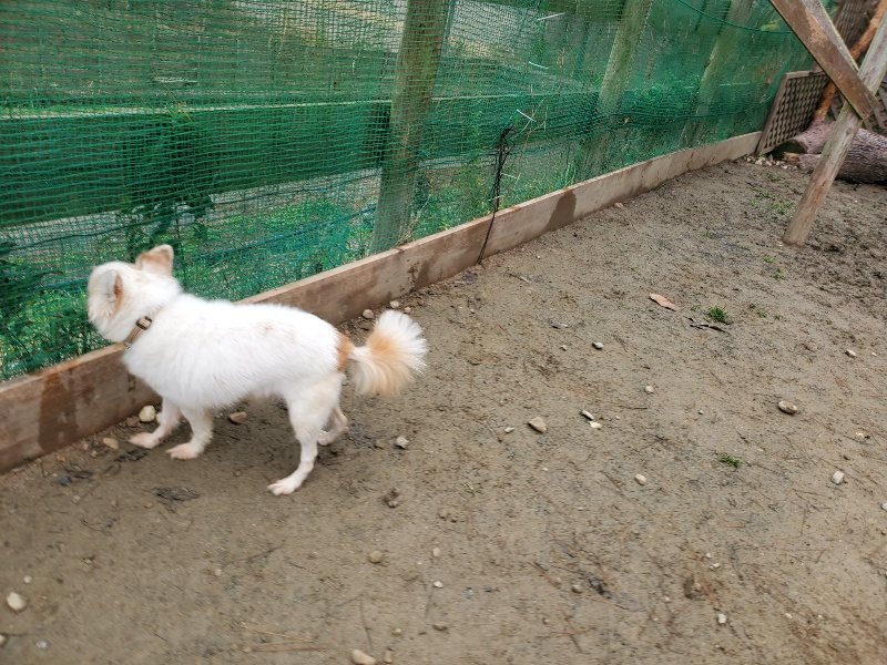 f:id:roukenhome-ann:20191223055531j:plain f:id:roukenhome-ann:20191223055531j:plain